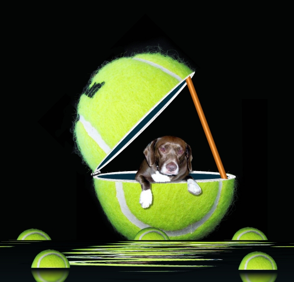 Creation of Trying to get just one ball: Step 6